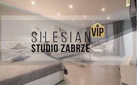 Studio Silesian Vip